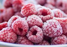 How cool is your raspberry ?